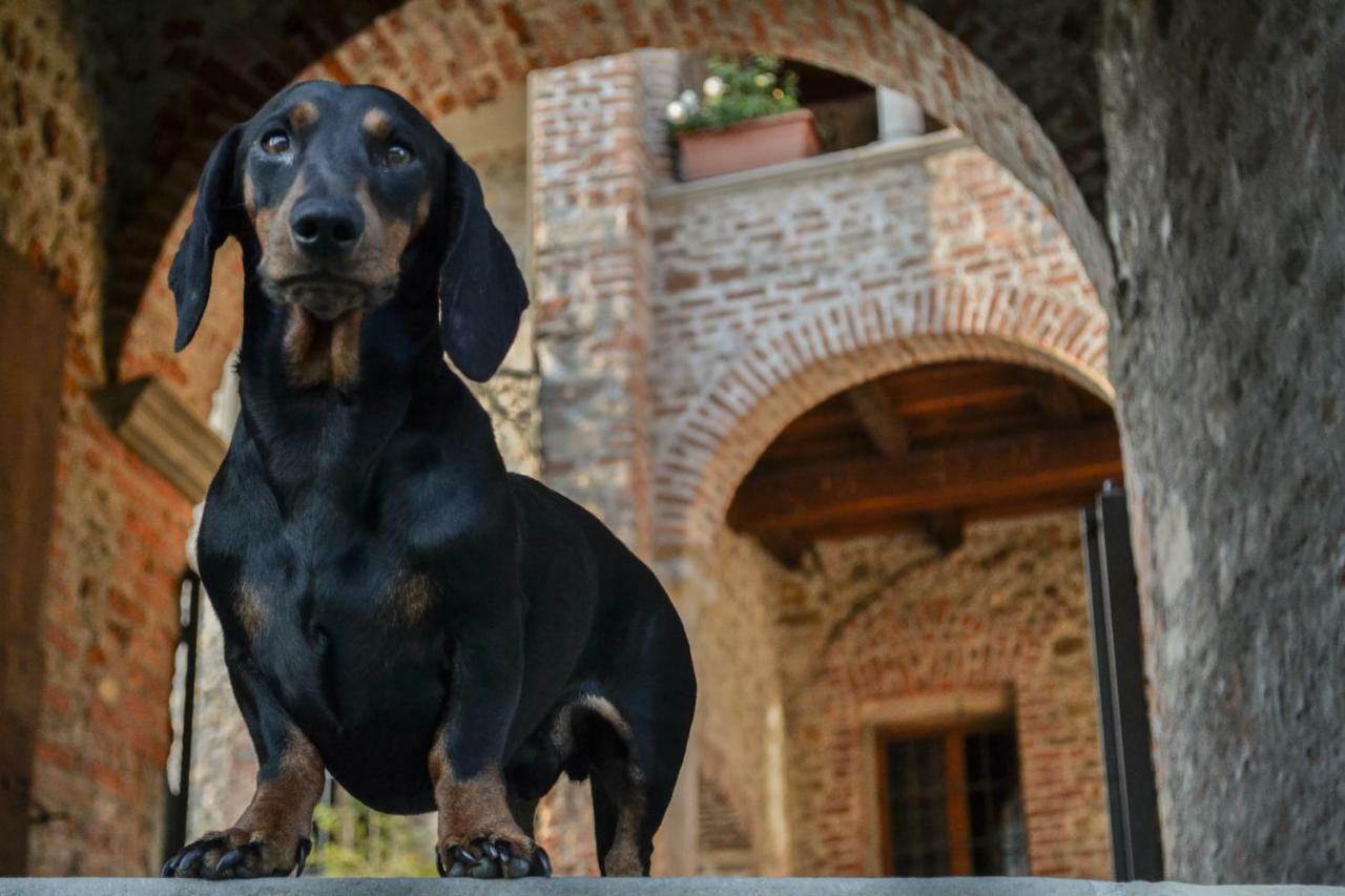 Castello Di Cernusco Lombardone Panzió Kültér fotó