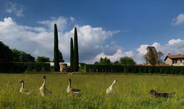 Castello Di Cernusco Lombardone Panzió Kültér fotó